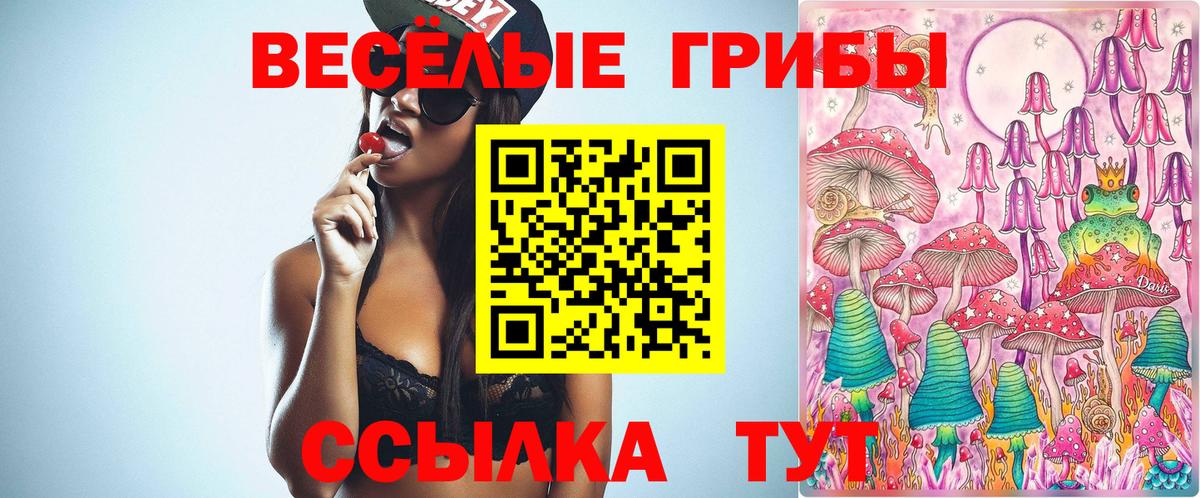 Галлюциногенные грибы Cubensis Санкт-Петербург
